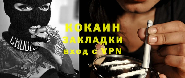 индика Кулебаки