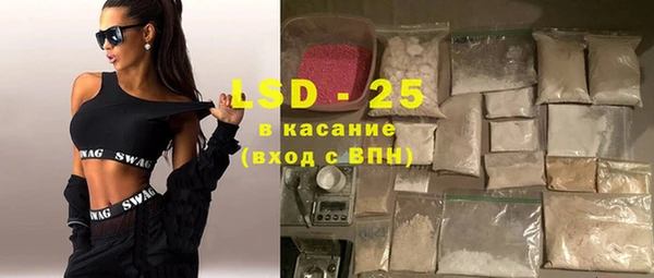 индика Кулебаки