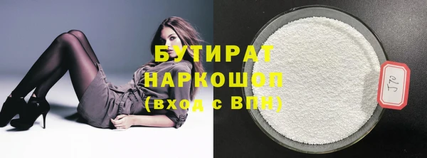 индика Кулебаки