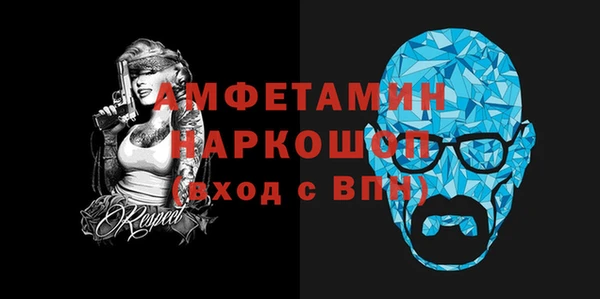 индика Кулебаки