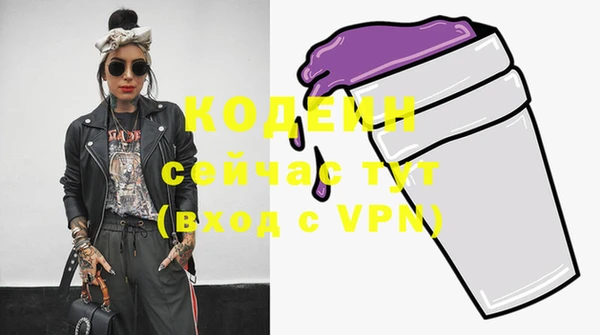индика Кулебаки