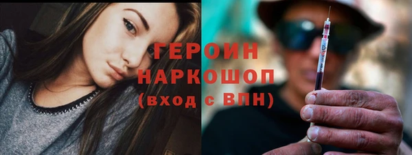индика Кулебаки