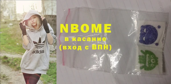 индика Кулебаки