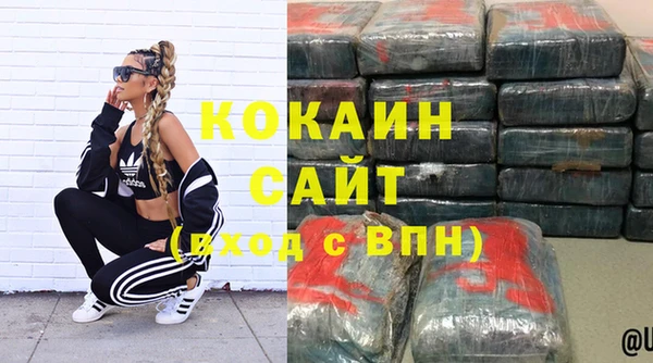 индика Кулебаки