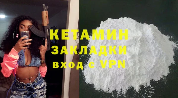 индика Кулебаки