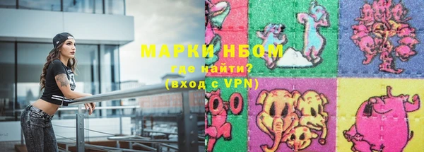 индика Кулебаки