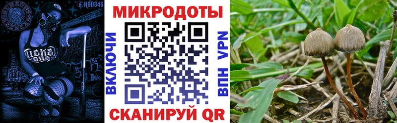 Галлюциногенные грибы Magic Shrooms  Купить закладки  Наволоки 